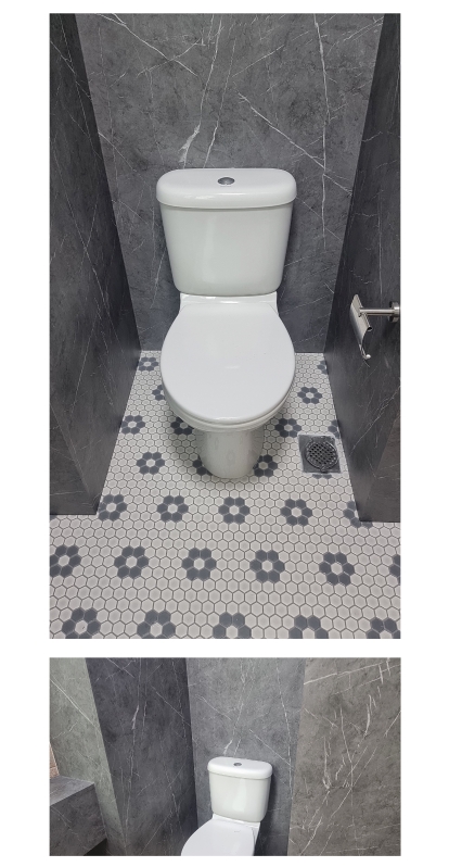 Realize your dream toilet